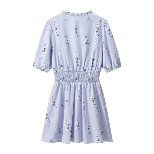 Embroidered printed dress for women's clothing
